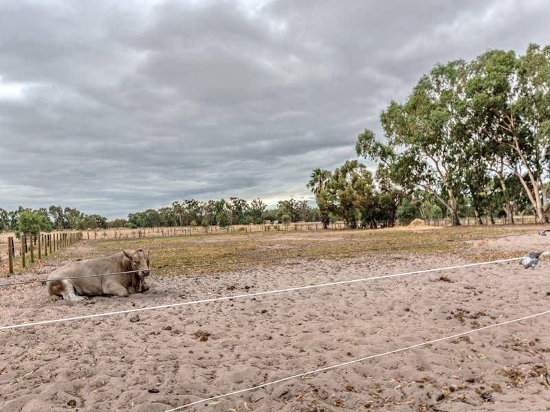 216 Rapids Road, Serpentine WA 6125