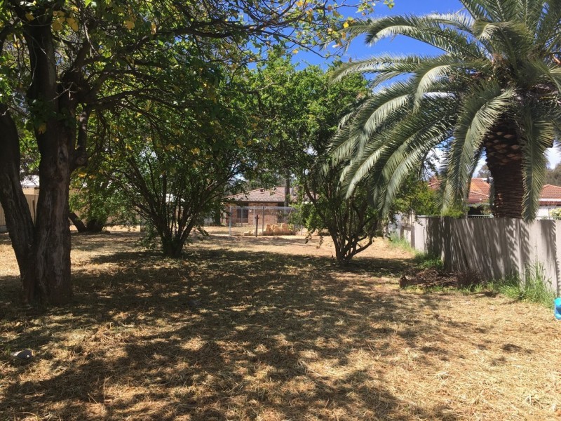 12 Mason Street, Cannington WA 6107