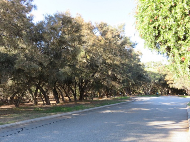 12 Mason Street, Cannington WA 6107