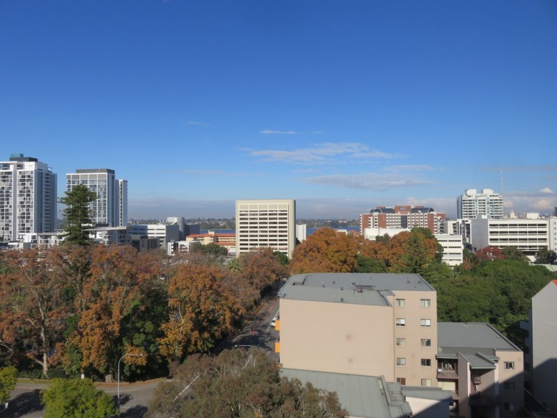 81/60 Forrest Avenue, East Perth WA 6004