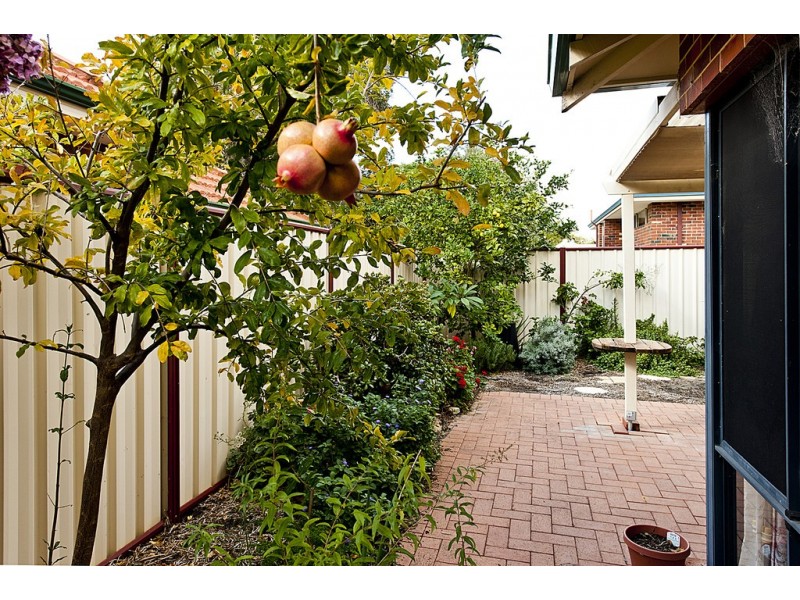 14B Connolly Street, Wembley WA 6014