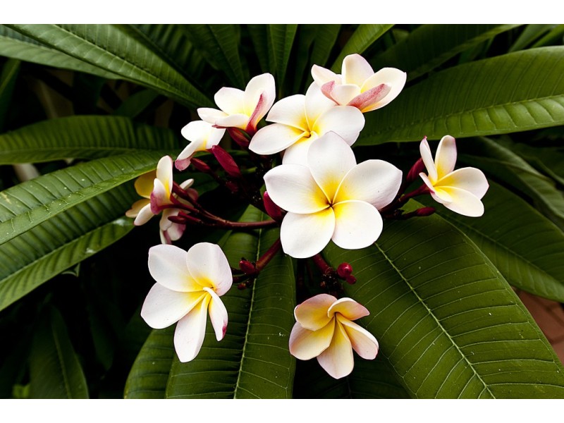 14B Connolly Street, Wembley WA 6014