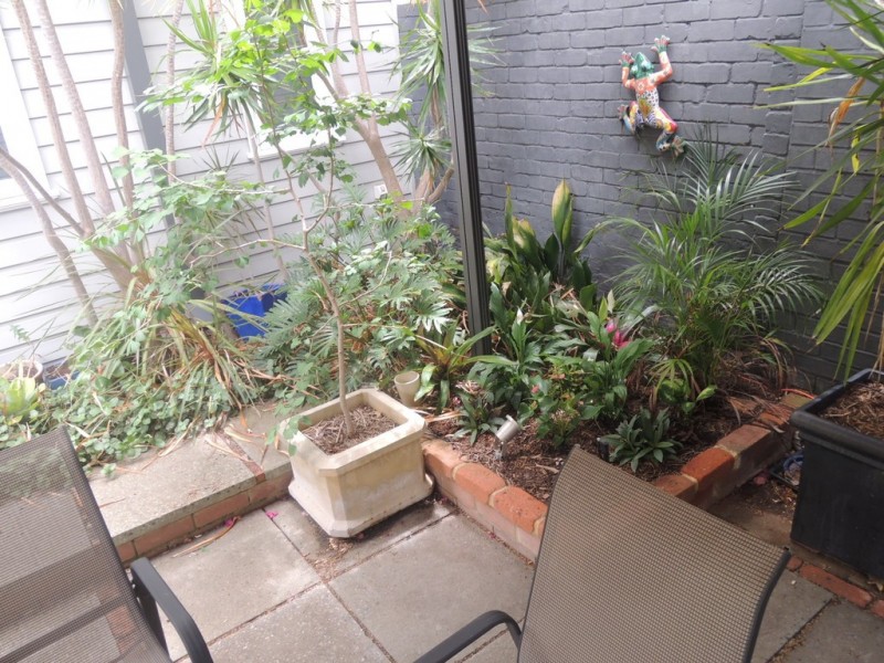 31 Rockton Road, Nedlands WA 6009