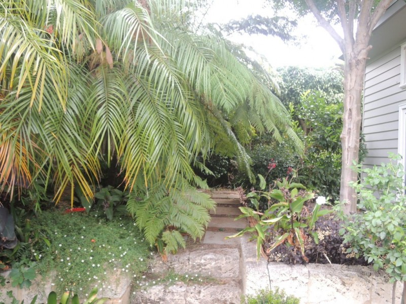 31 Rockton Road, Nedlands WA 6009