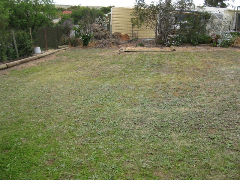 6 Hamilton Street, Mannum SA 5238