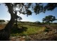 15 Rosella Rise, MANNUM WATERS, Mannum SA 5238