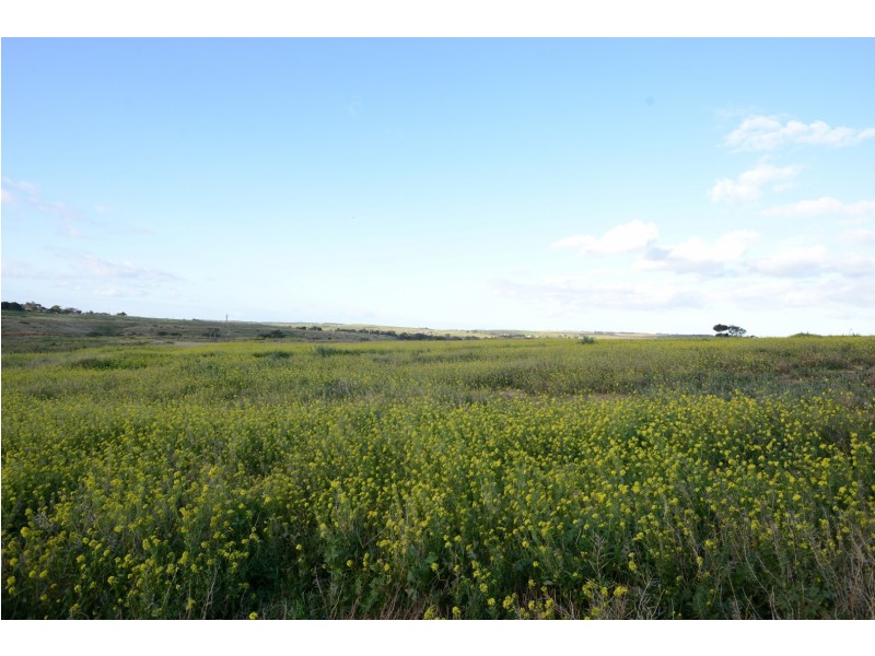 18 (Lot 255) Rosella Rise, MANNUM WATERS, Mannum SA 5238