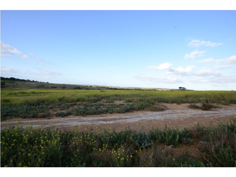 22 (Lot 257) Rosella Rise, MANNUM WATERS, Mannum SA 5238