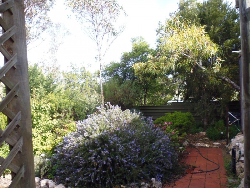 17 Victoria Street, Mannum SA 5238