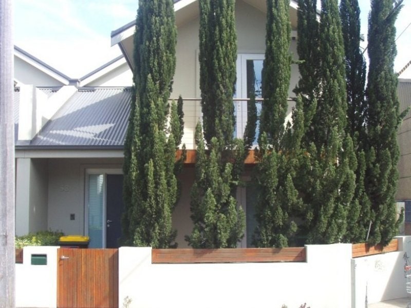58 ALFRED STREET, St Peters NSW 2044
