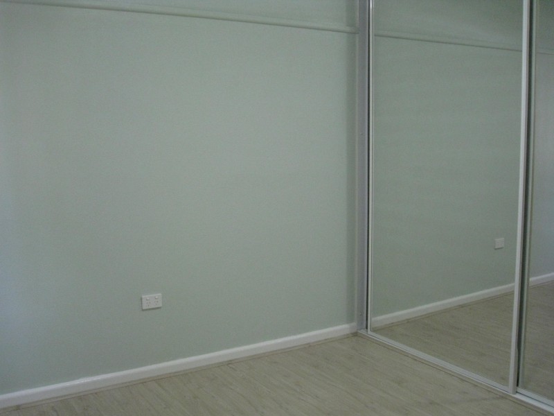 119 CARDIGAN STREET, Auburn NSW 2144