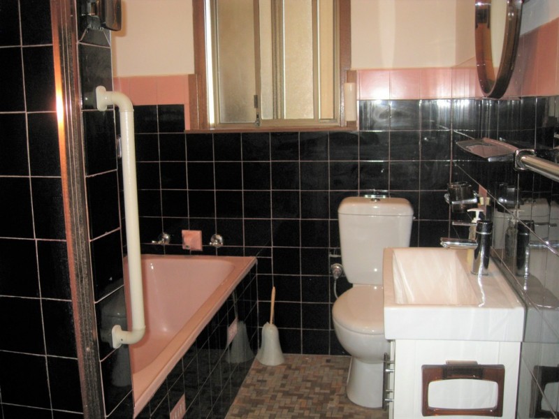 17 KINGSLAND ROAD, Berala NSW 2141