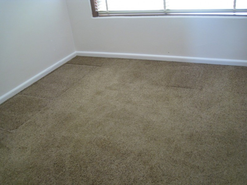 17 KINGSLAND ROAD, Berala NSW 2141