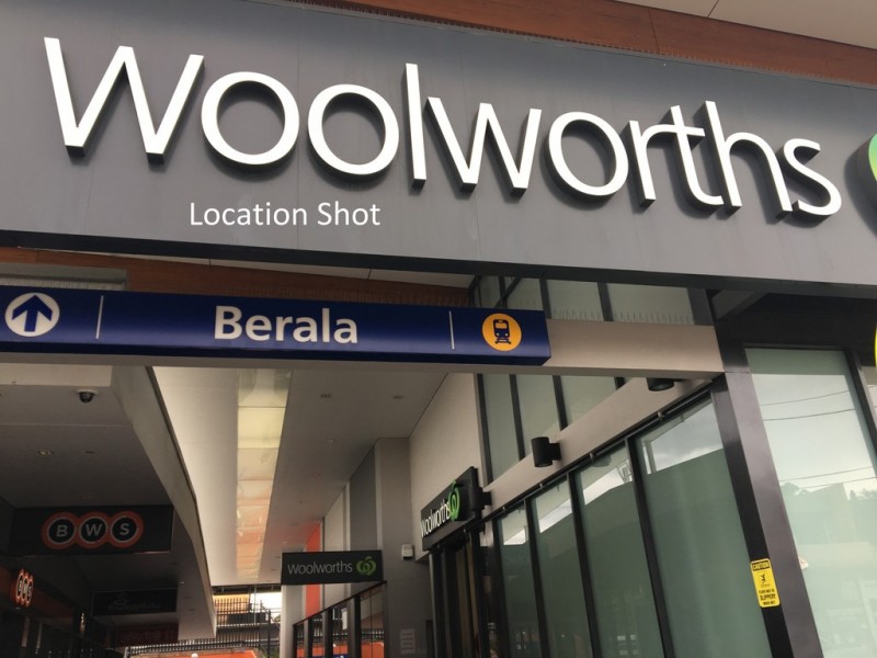 17 KINGSLAND ROAD, Berala NSW 2141