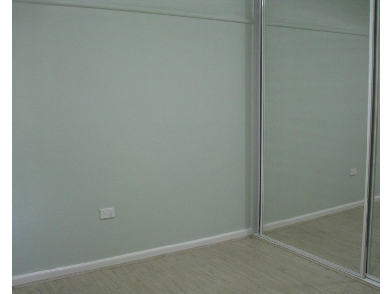 119 CARDIGAN STREET, Auburn NSW 2144