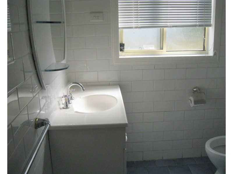 119 CARDIGAN STREET, Auburn NSW 2144