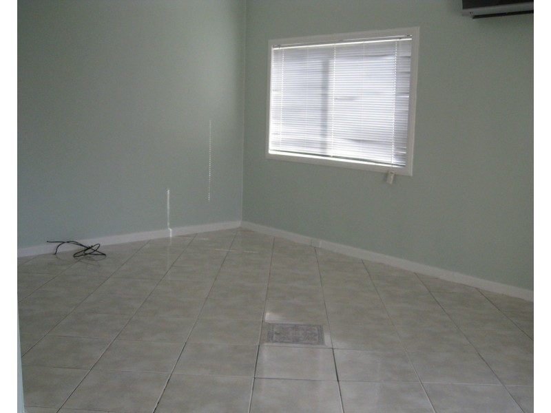 119 CARDIGAN STREET, Auburn NSW 2144