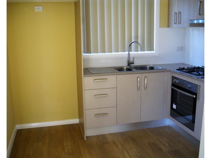 119A CARDIGAN STREET, Auburn NSW 2144