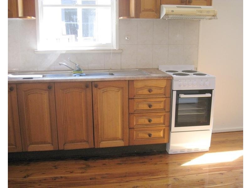 42A THIRD AVENUE, Berala NSW 2141