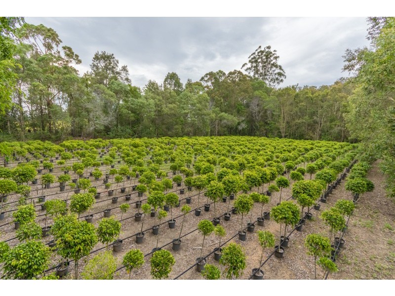 40 Lock Road, Wamuran QLD 4512