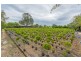 40 Lock Road, Wamuran QLD 4512