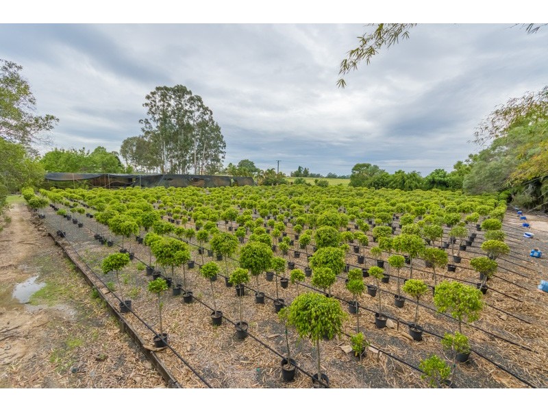 40 Lock Road, Wamuran QLD 4512