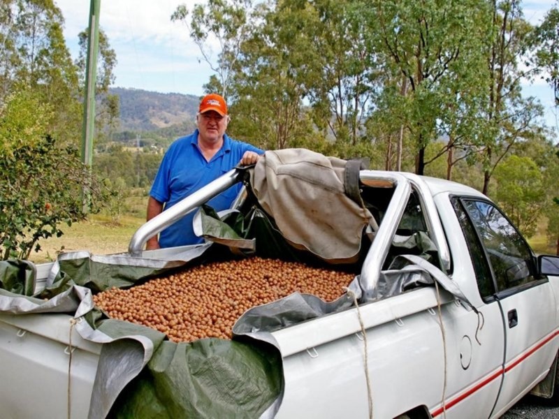 189 Moorina Road, Moorina QLD 4506