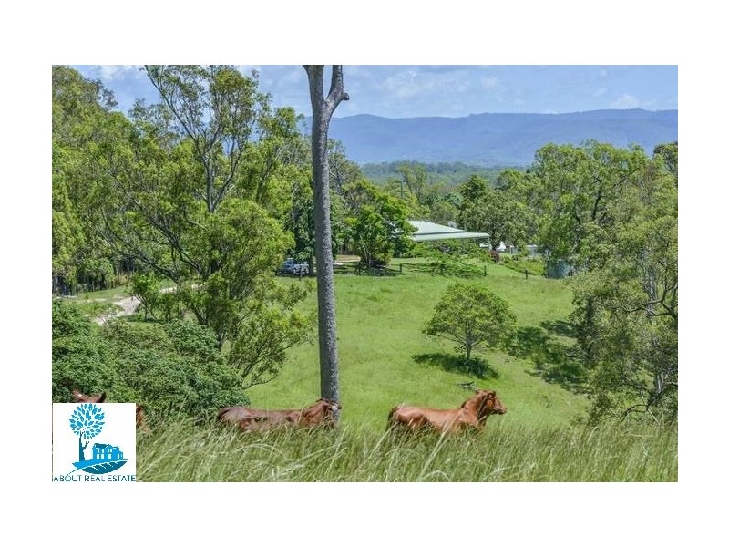 489 Mt Mee Road, Delaneys Creek QLD 4514