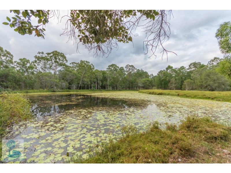 20 Mumford Road, Kurwongbah QLD 4503