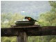 Moorina QLD 4506
