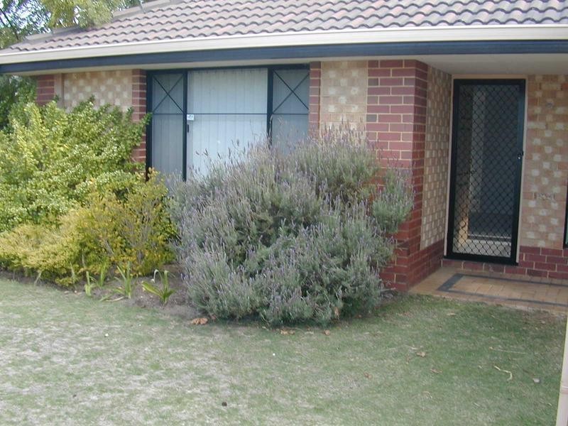 4 Walsh Avenue, Redcliffe WA 6104
