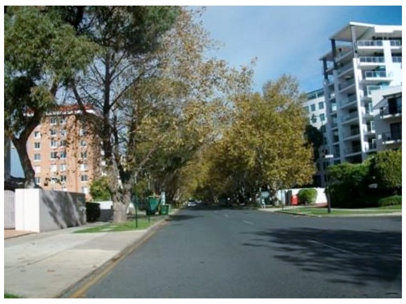 8/12 Mill Point Road, South Perth WA 6151