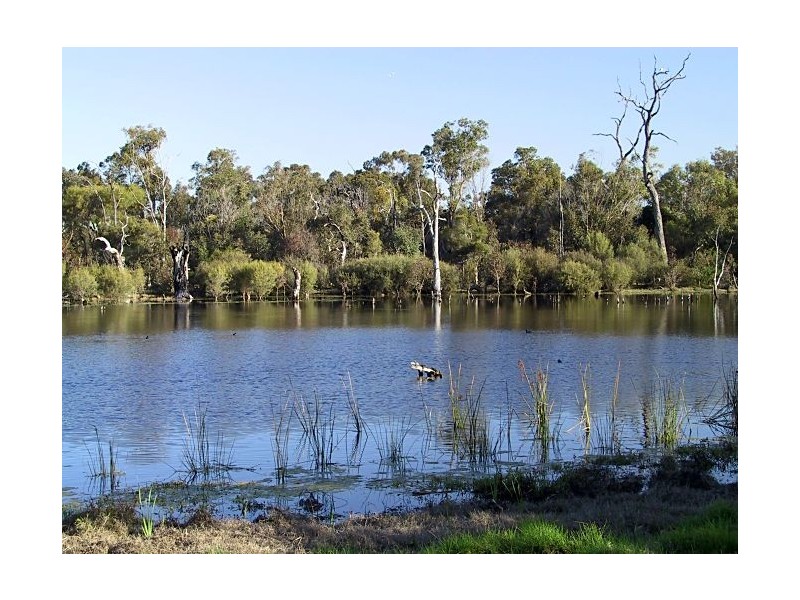 13 Kemp Road, Mount Pleasant WA 6153