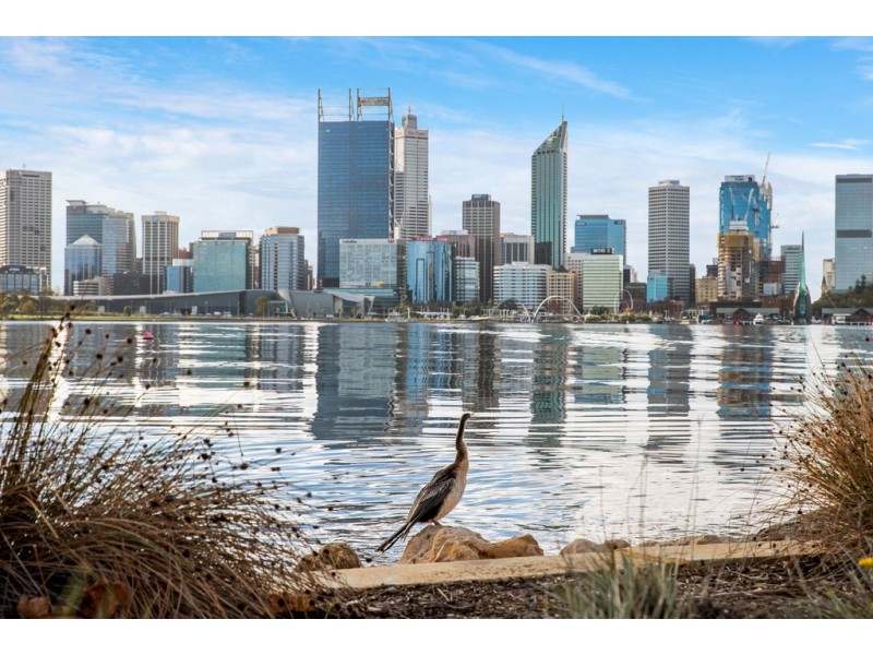 6/14 Coode Street, South Perth WA 6151
