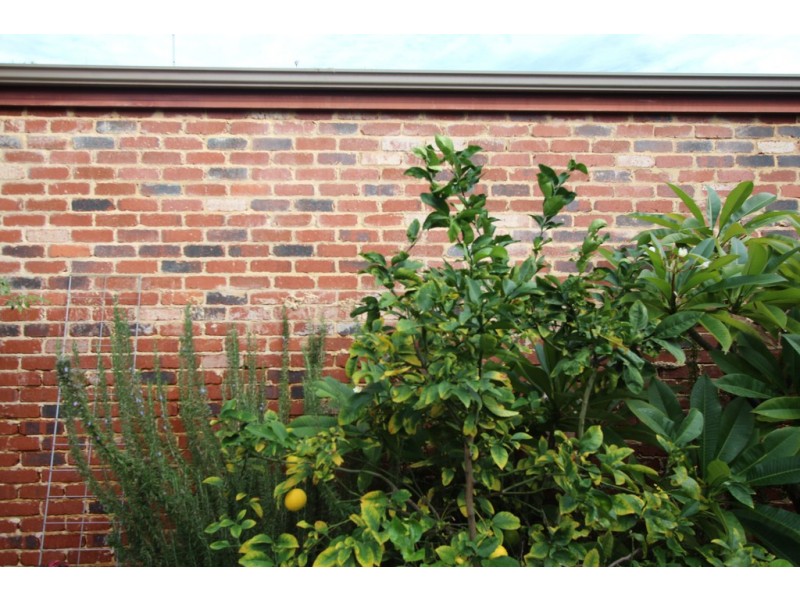 7/69 Gardner Street, Como WA 6152