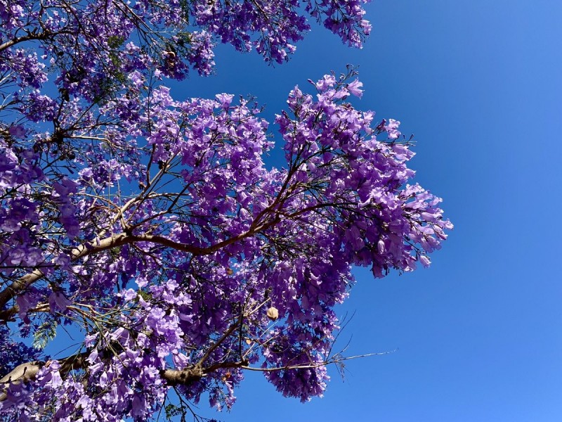 4/9 Strickland Street, South Perth WA 6151