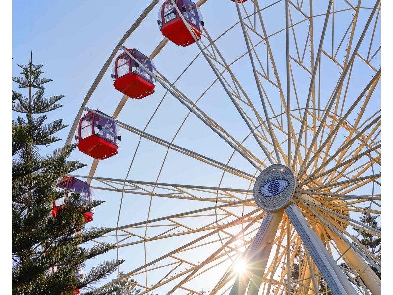 1/17 Essex Street, Fremantle WA 6160