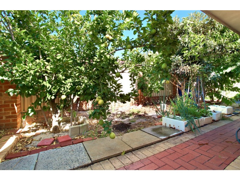 71 Jupiter Street, Carlisle WA 6101