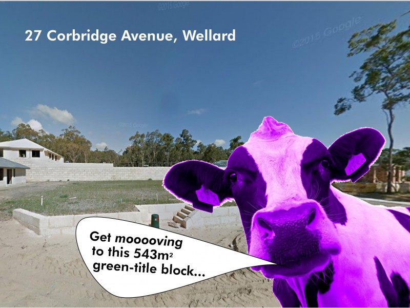 27 Corbridge Avenue, Wellard WA 6170