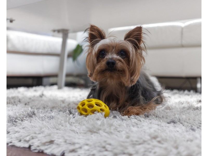 1/165 Canning Highway, South Perth WA 6151