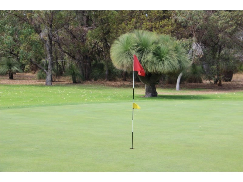 19B Francis Avenue, Karrinyup WA 6018