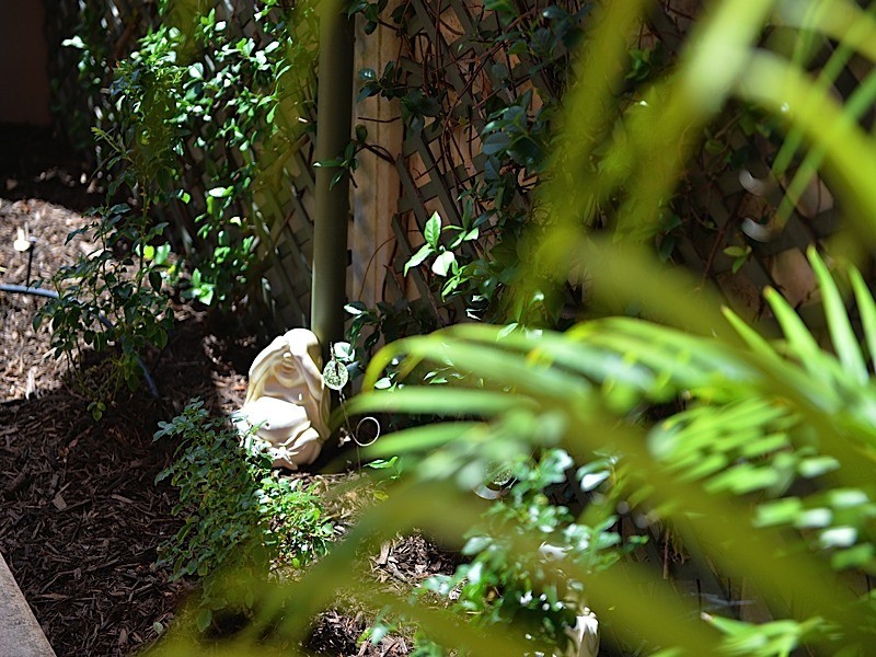 2/142 Ewen Street, Doubleview WA 6018