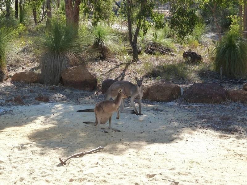 24 Evergreen Rise, Bindoon WA 6502