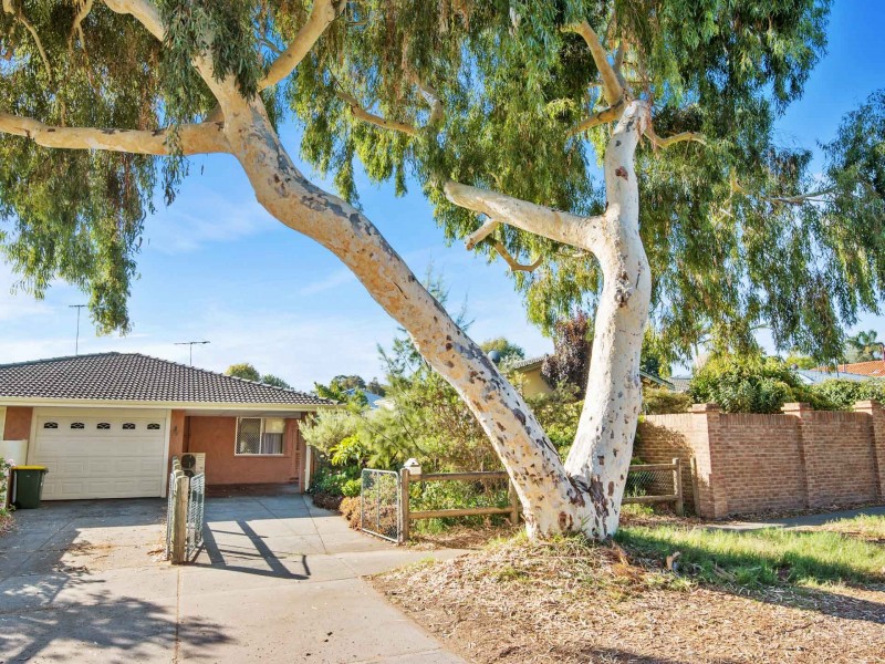 120 Karrinyup Road, Karrinyup WA 6018