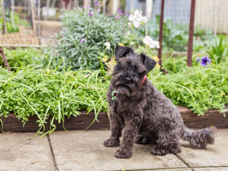 59 East Street, Guildford WA 6055