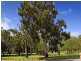 41 Woolnough Street, Daglish WA 6008