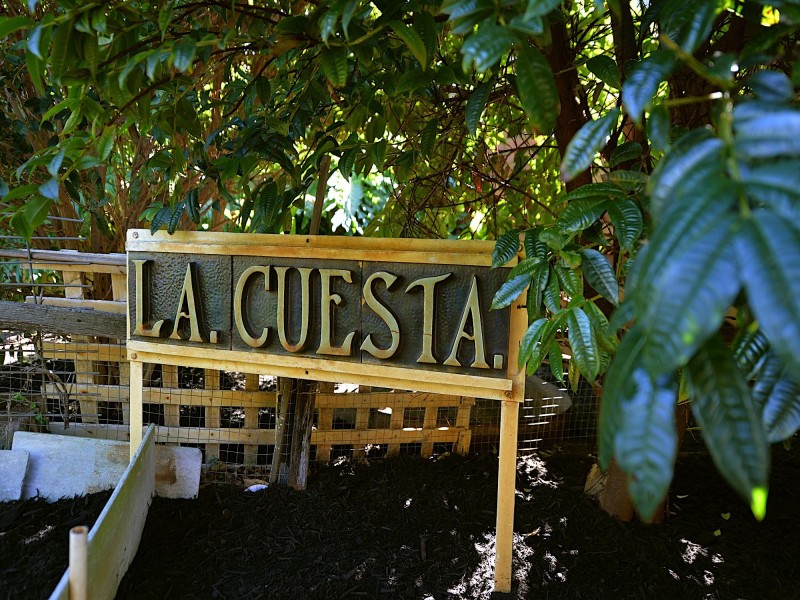 35 Woodlands Street, Woodlands WA 6018