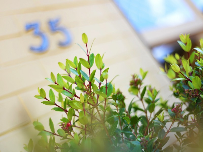 35 Woodlands Street, Woodlands WA 6018