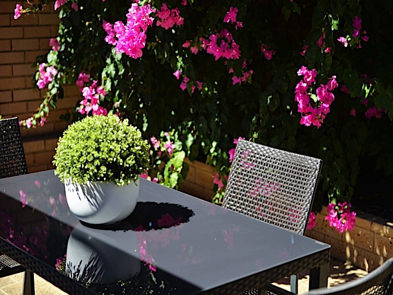 1/44 Albemarle Street, Doubleview WA 6018