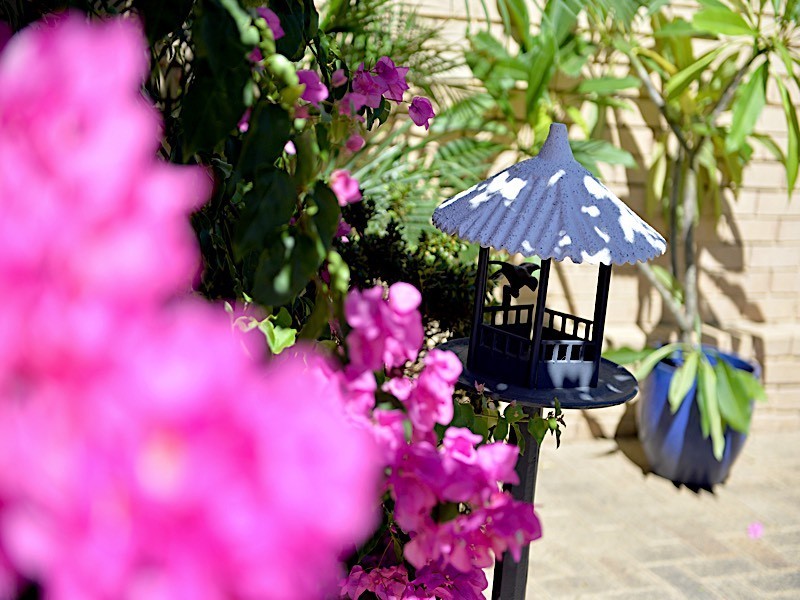 1/44 Albemarle Street, Doubleview WA 6018